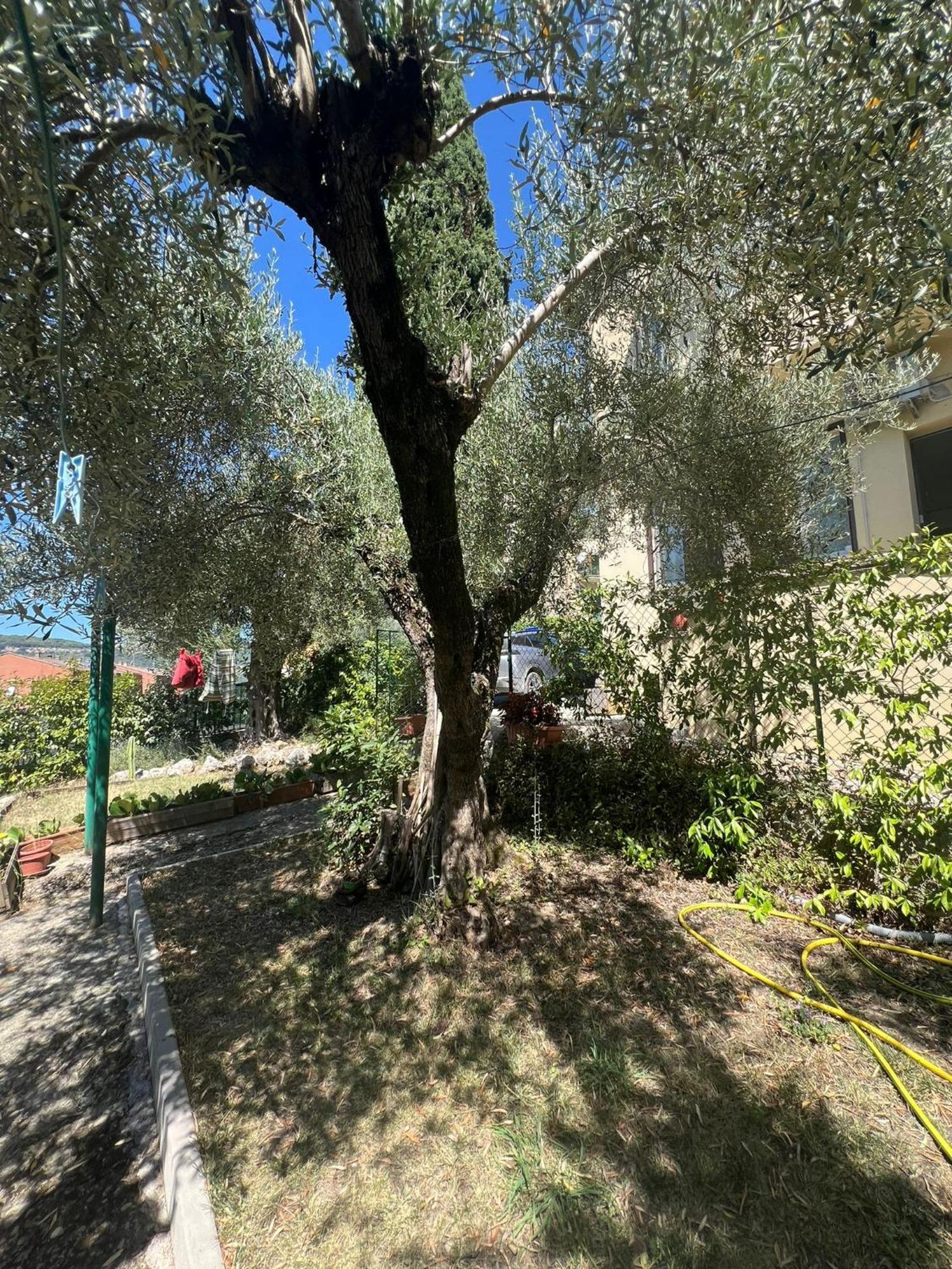 La Locanda Delle Idee Santa Lucia Перуджа Экстерьер фото